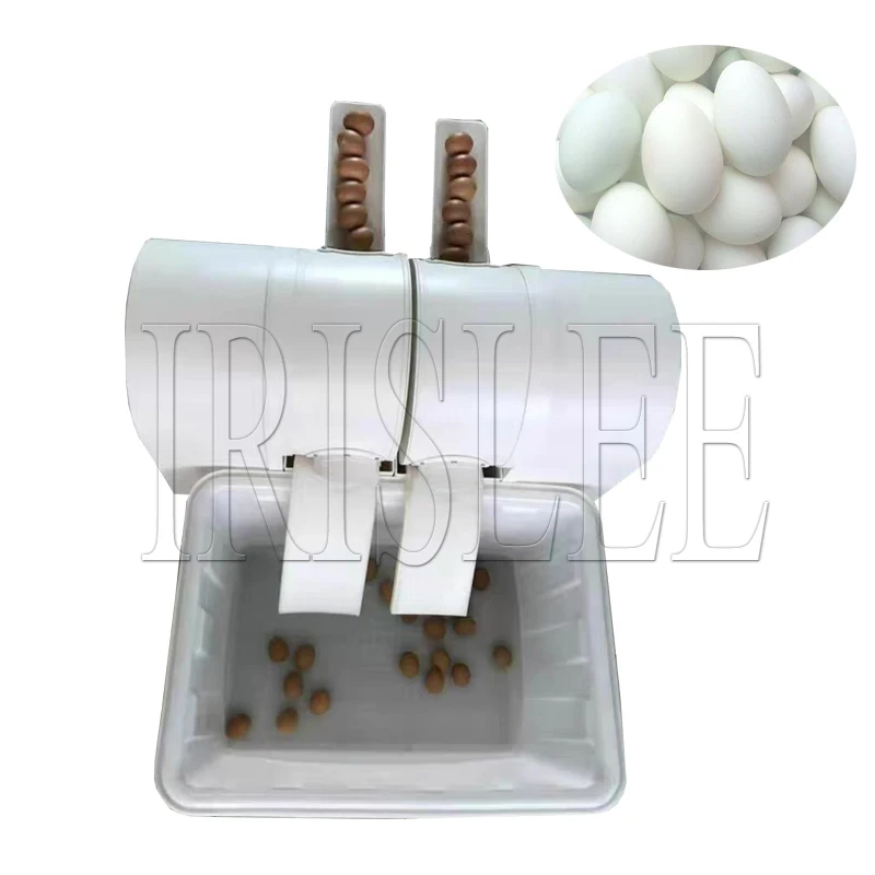 Good Quality Chicken Duck Goose Egg Washer Cleaner Wash Machine Automatic Poultry Farm Equipment 2400 Pcs/h