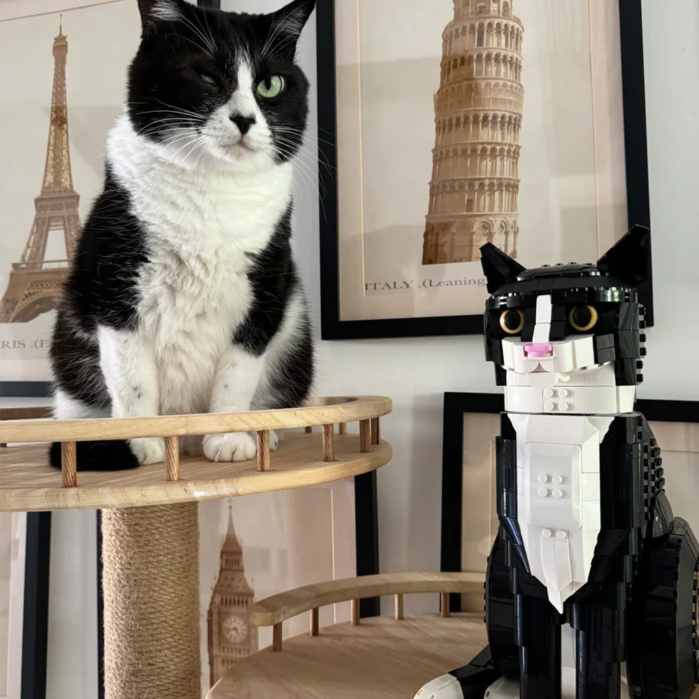 modele-d'animal-chat-tuxedo-en-blocs-de-construction-moc-chat-noir-et-blanc-creatif-ornement-de-bureau-briques-d'assemblage-diy-jouet-decoration-de-la-maison