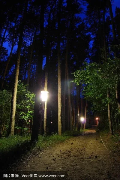 

Комплект из 4 шт. шестигранных колесных дисков 12 мм для гоночных радиоуправляемых машин, пенопластовые шины для HSP HPI 1/10 On-road RC Car