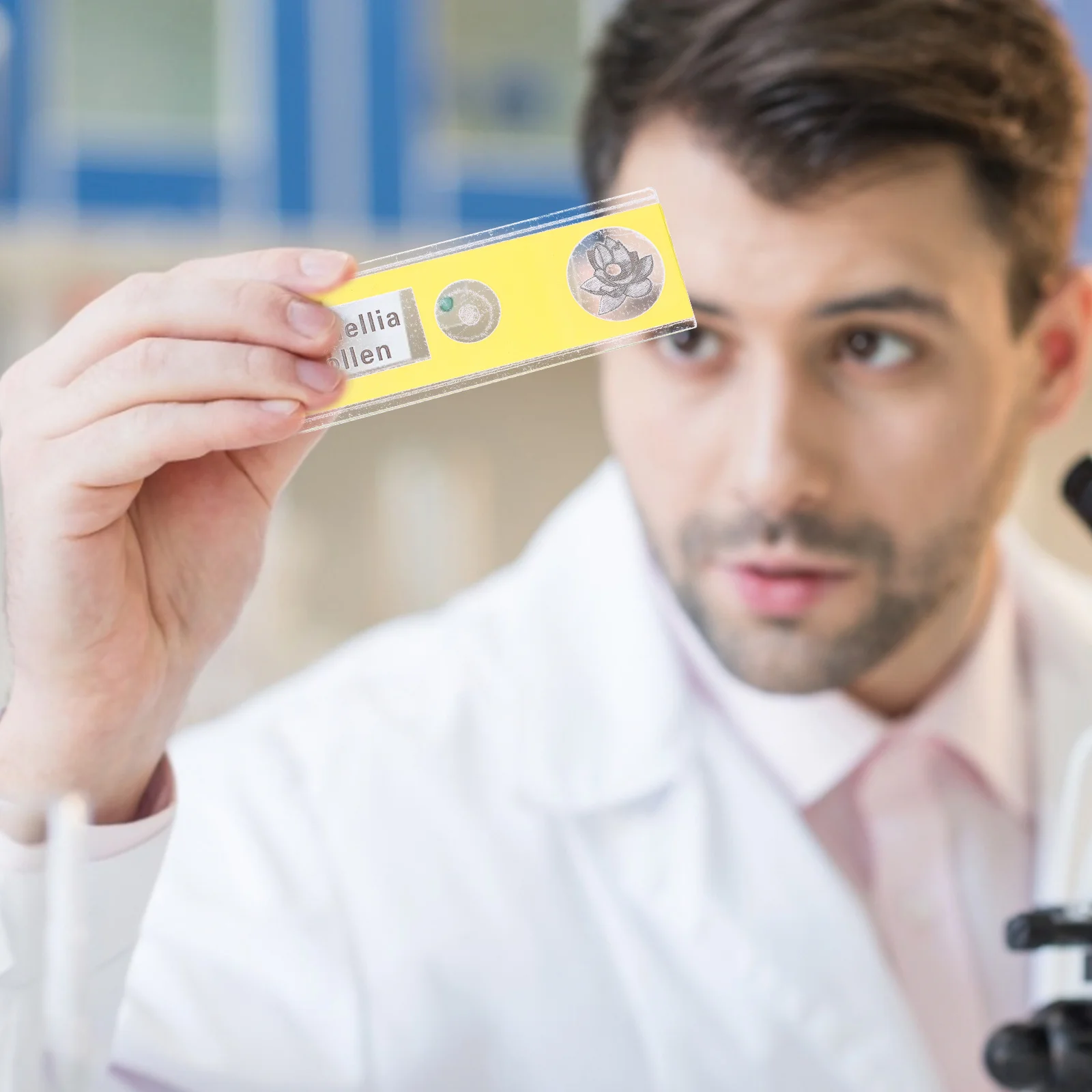 ชุดสไลด์กล้องจุลทรรศน์สำเร็จรูป 12 ชิ้น ตัวอย่างพืชสเตอริโอสำหรับเด็ก โรงเรียน บ้าน ชุดสะสมตัวอย่างชีวภาพ ตัวอย่างพืช