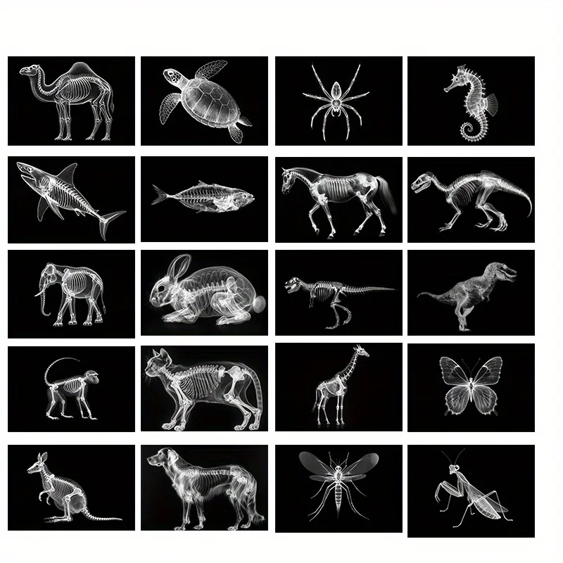 20PCS Modern Animal Bone Postcards Are An Excellent Gift for Enhancing Your Living Room, Bedroom, or Office Wall Decor