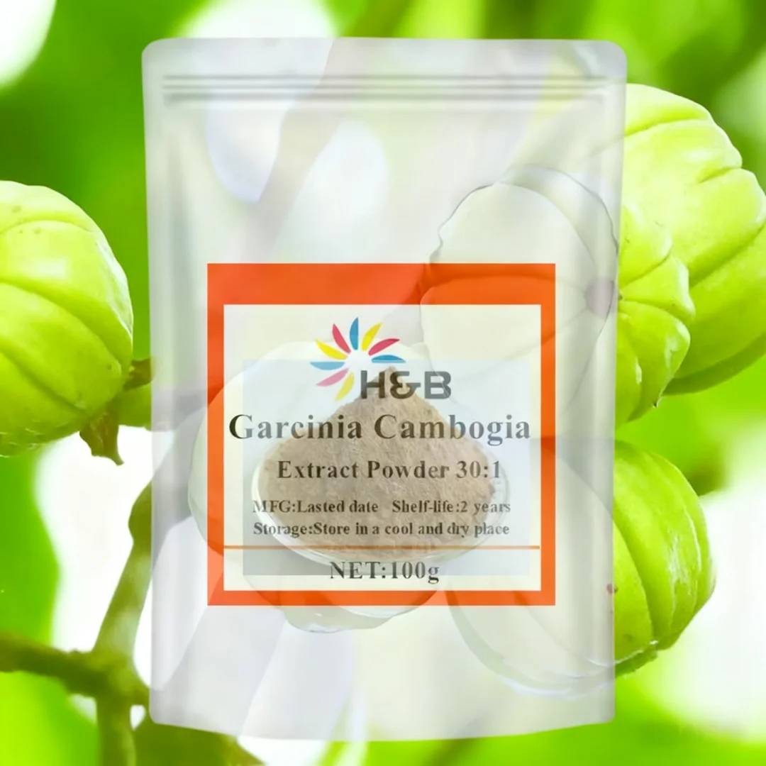 Bolsa de papel de aluminio personalizada al por mayor para polvo de extracto de Garcinia Cambogia 30:1 bolsa de plástico para distribuidores globales