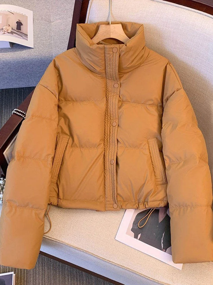 

Модная женская зимняя куртка с воротником-стойкой, утепленная, из хлопка, новая модель, привлекательная, универсальная, теплая, на молнии