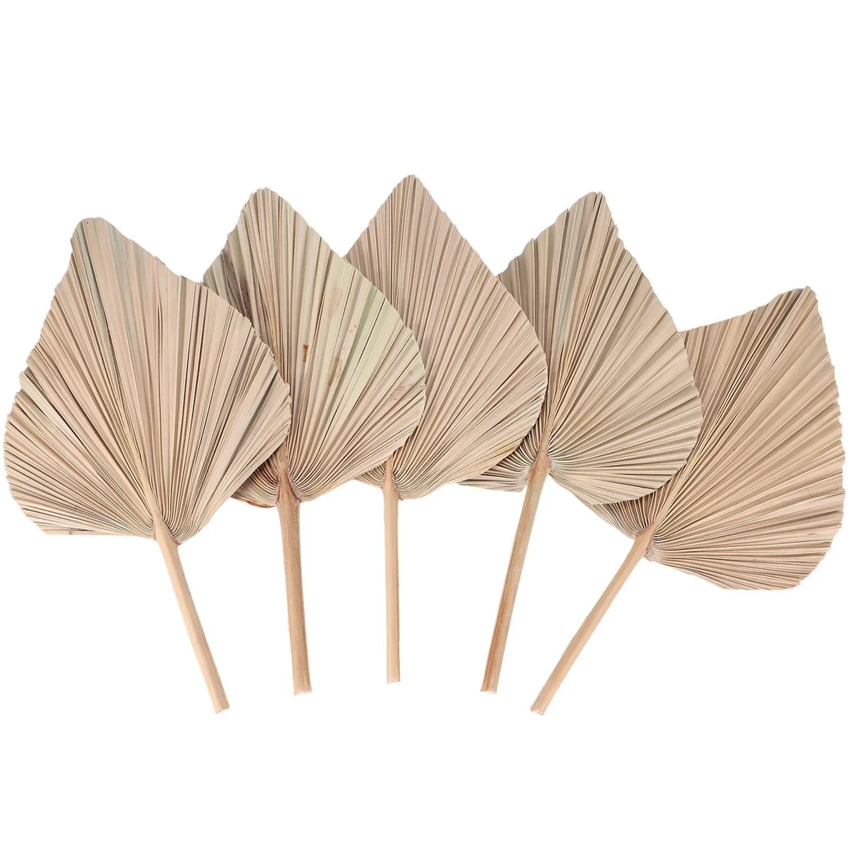 Dried Palm Leaves Room Decor 5 Pieces - 18Inch H x 10Inch W Large Natural Palm Leaf Decor for A Beautiful Boho Look