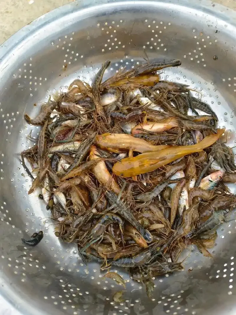 

Набор бамперов LC RACING SC, черный для EMB-SC EP 1:14, радиоуправляемый автомобиль для бездорожья # L6039