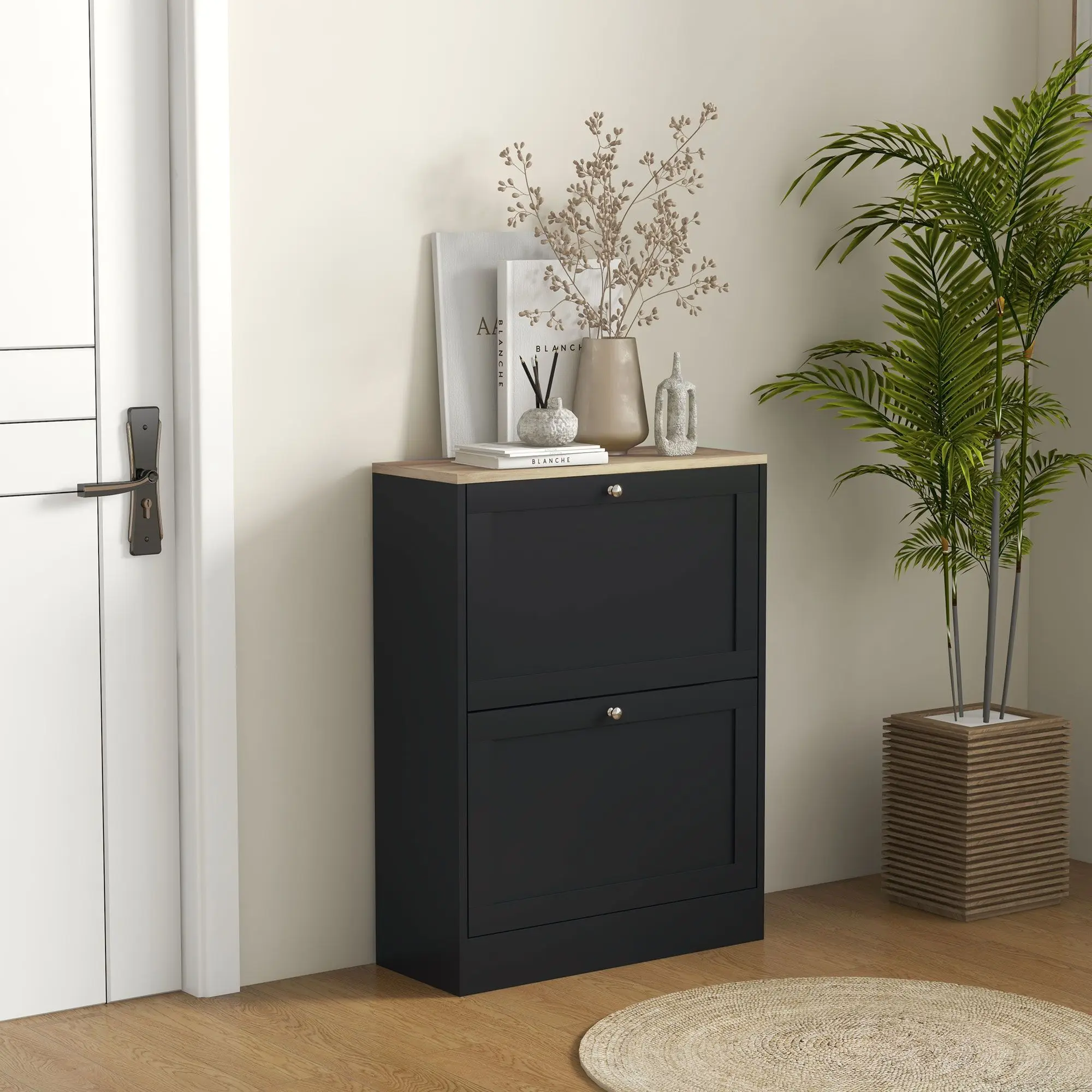 Modern Two-Drawer Shoe Cabinet with Adjustable Shelving for 12 Pairs of Shoes - Black