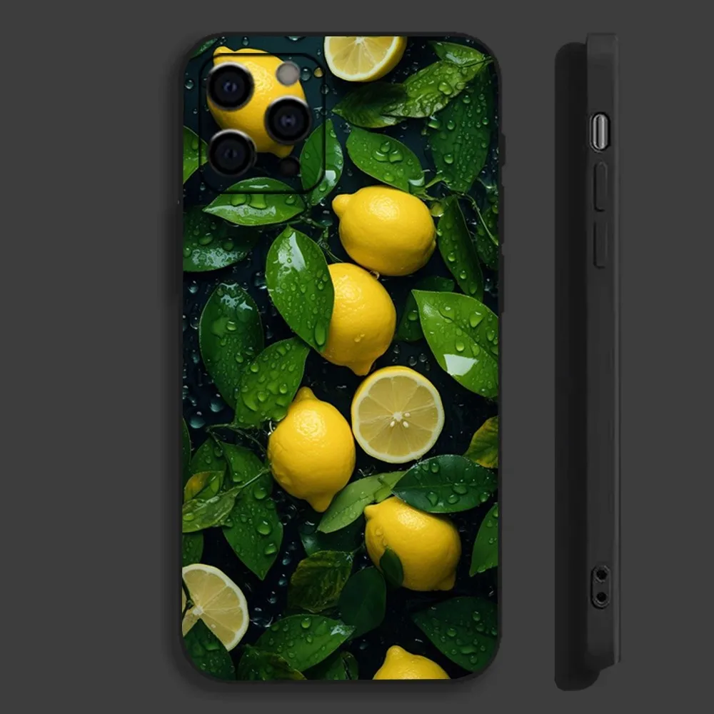 Fruit lemon Painting Phone Case For Apple iPhone 15,14,13,12,11,Pro,X,XS,Max,XR,Plus,Mini Soft Black Cover