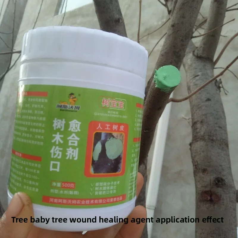 500 جرام من شتلات شجاع الجروح من شجرة Aswol، طبقة مانعة للتسرب، شتلات المطر والشمس، بونساي للزواج وتقليم النباح الاصطناعي