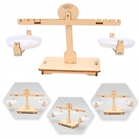DIY Balance Scale Lever Wooden Weighing Scale Science Math Teaching Scale Early Educational Balancing Toy for Students Kids Gift