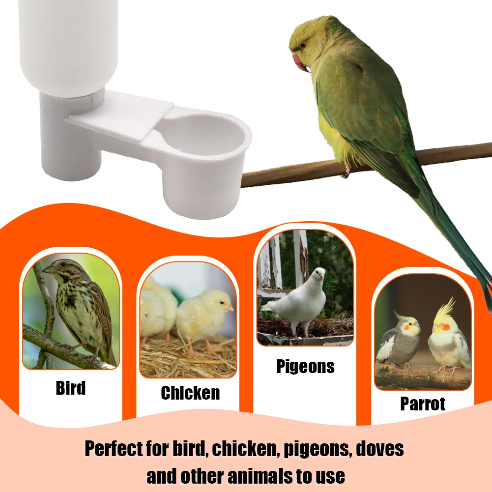 5/10/20 قطعة الطيور السمان شارب الكؤوس زجاجة ماء كوب القط الدجاج حمامة الببغاء الهامستر فوهة مزدوجة دليل المياه للدواجن