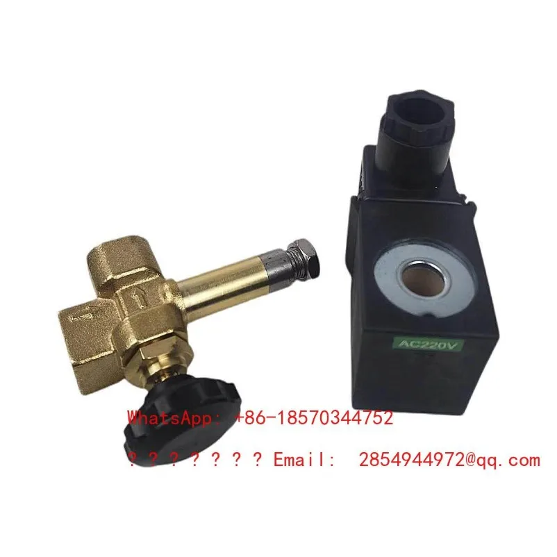 2026     New Set of 220V/50HZ Electric Heating Steam Boiler Iron Solenoid Valve Accessories