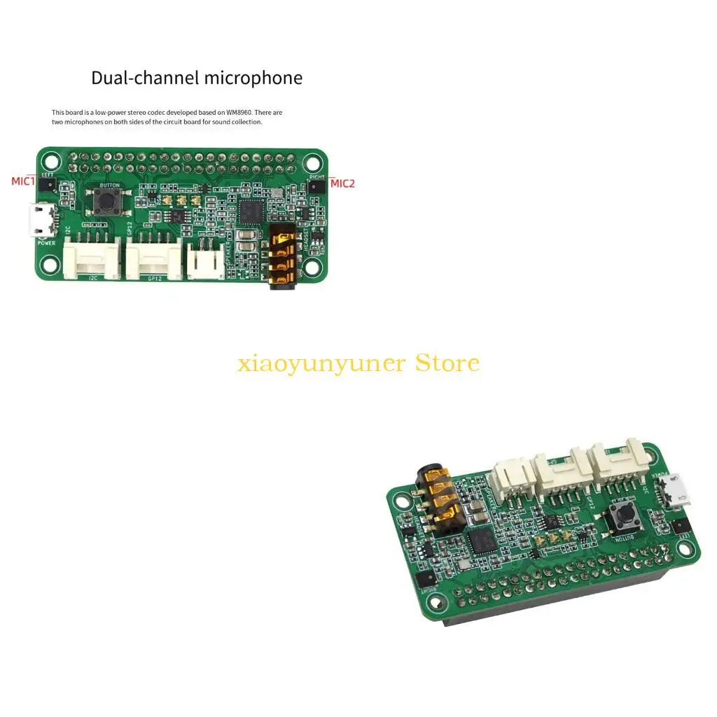 P9JB 40 Pin Development Voice Board with Two Channel Pickup, Speaker Output Port and Button for Recognition Project Build Paths