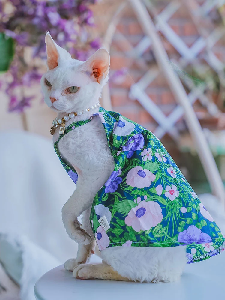 Colete de algodão para gato Sphynx, camiseta sem mangas para gatinhos, macacão macio para Devon Rex, primavera gato suprimentos, verão