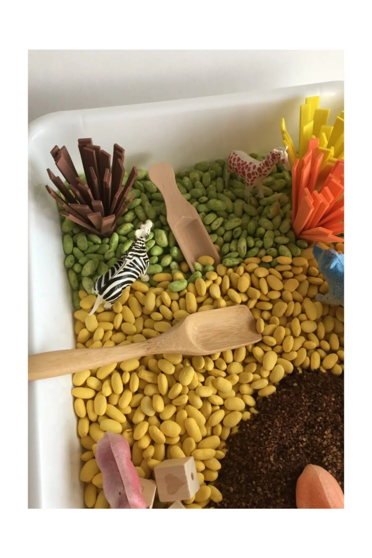 Set Game Sensorik Bertema Safari-Mainan Montessori