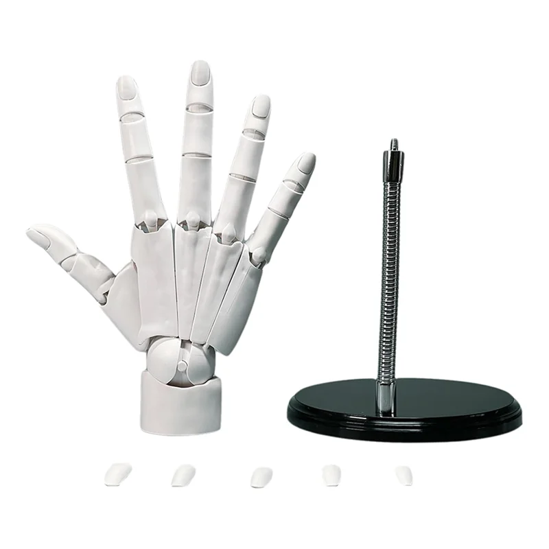 

ABUM-Hand Model 1:1 Articulated Mannequin Hand Moveable Joint+Base DIY PVC ABS Hand Model For Drawing,Painting,Sketching