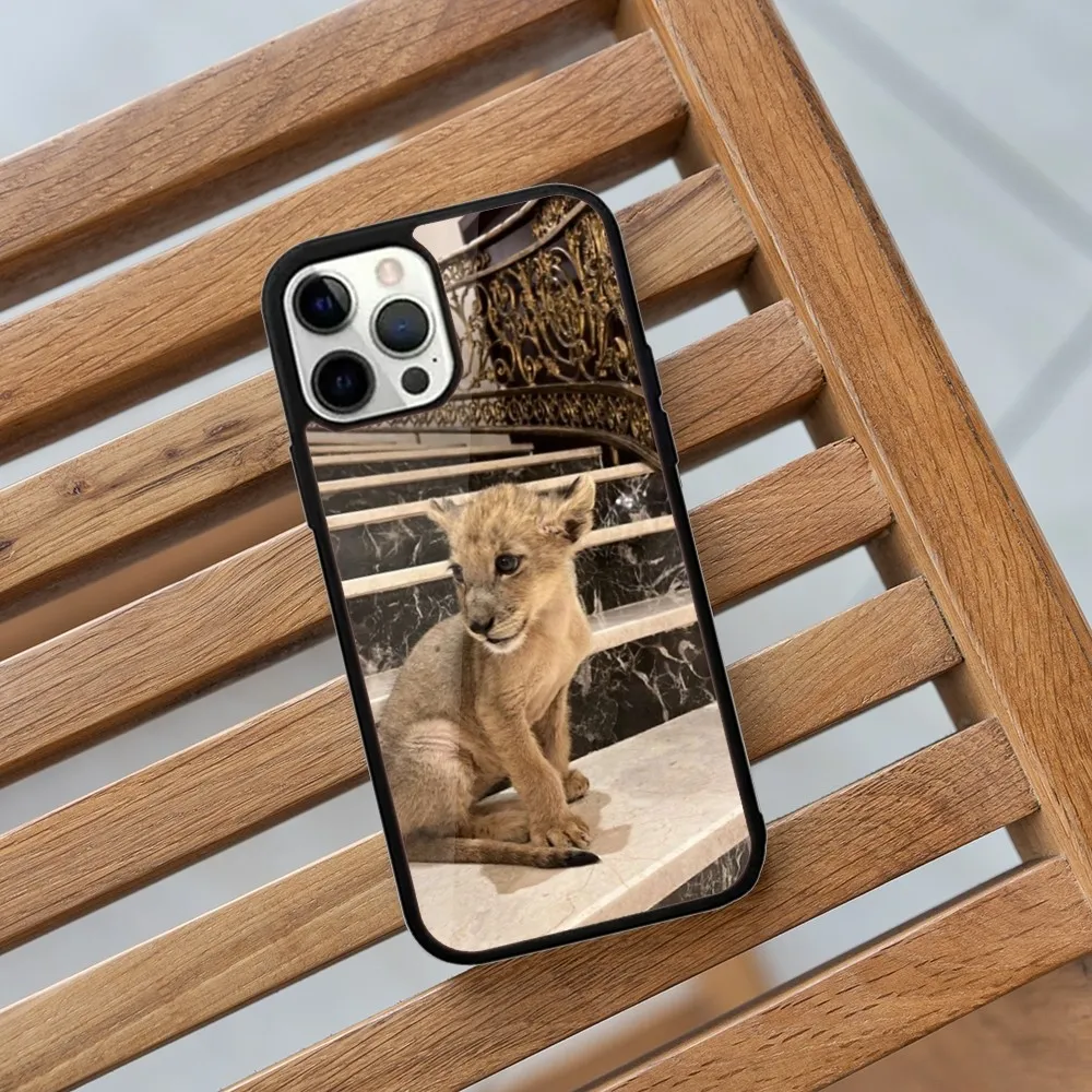 Cute Lion cub Phone Case For iPhone 16,15,14,13,12,11,Plus,Pro,Max,Mini Magsafe Magnetic Wireless Charging image 5
