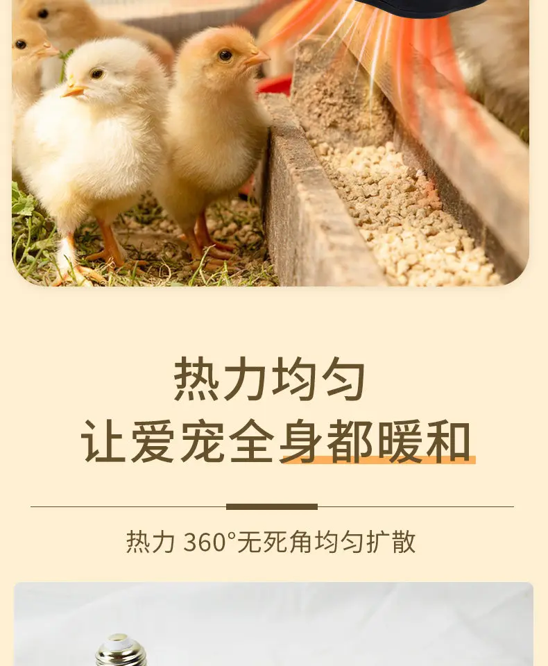 Temperature controlled heater chick brooding heater