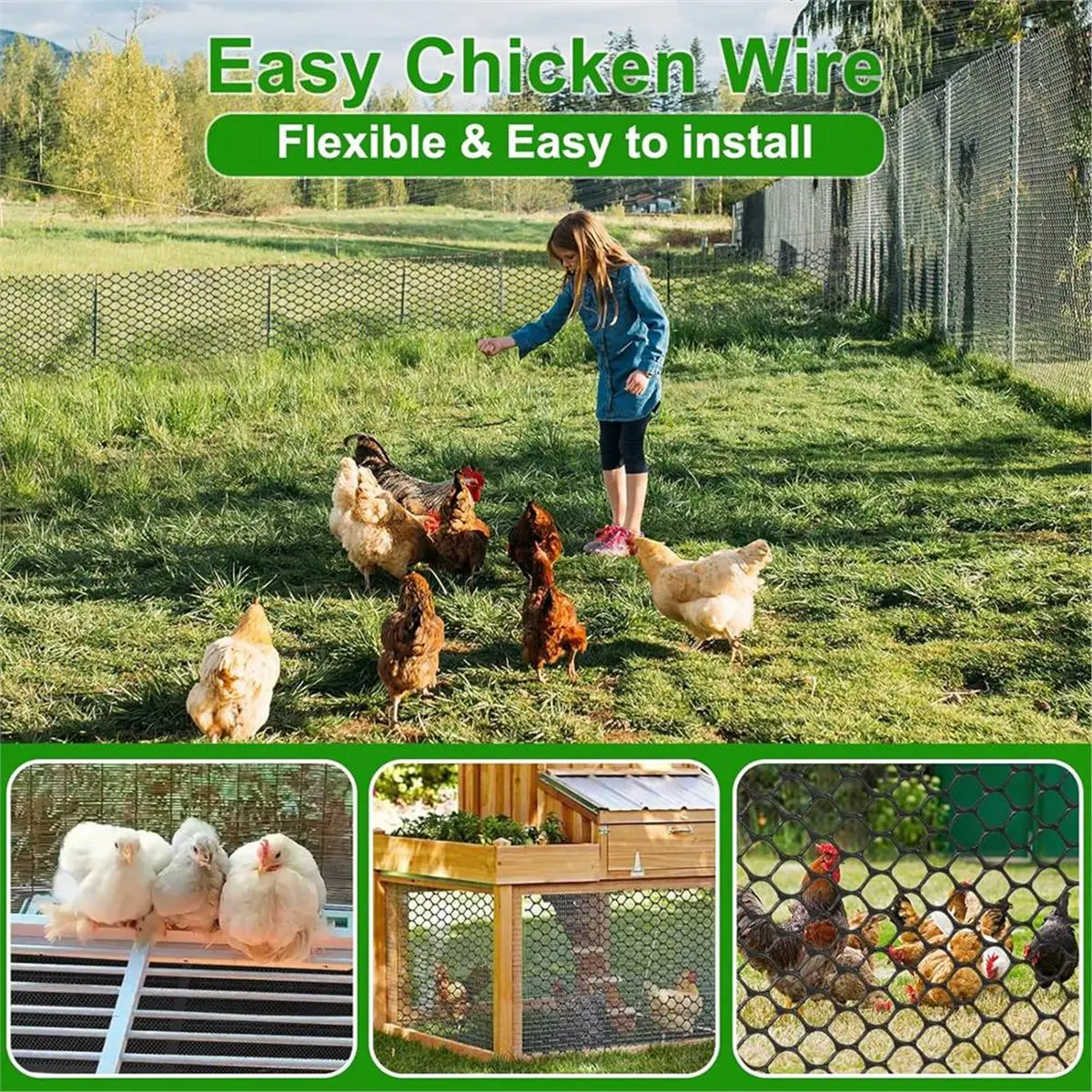 Mall Plastic Chicke…