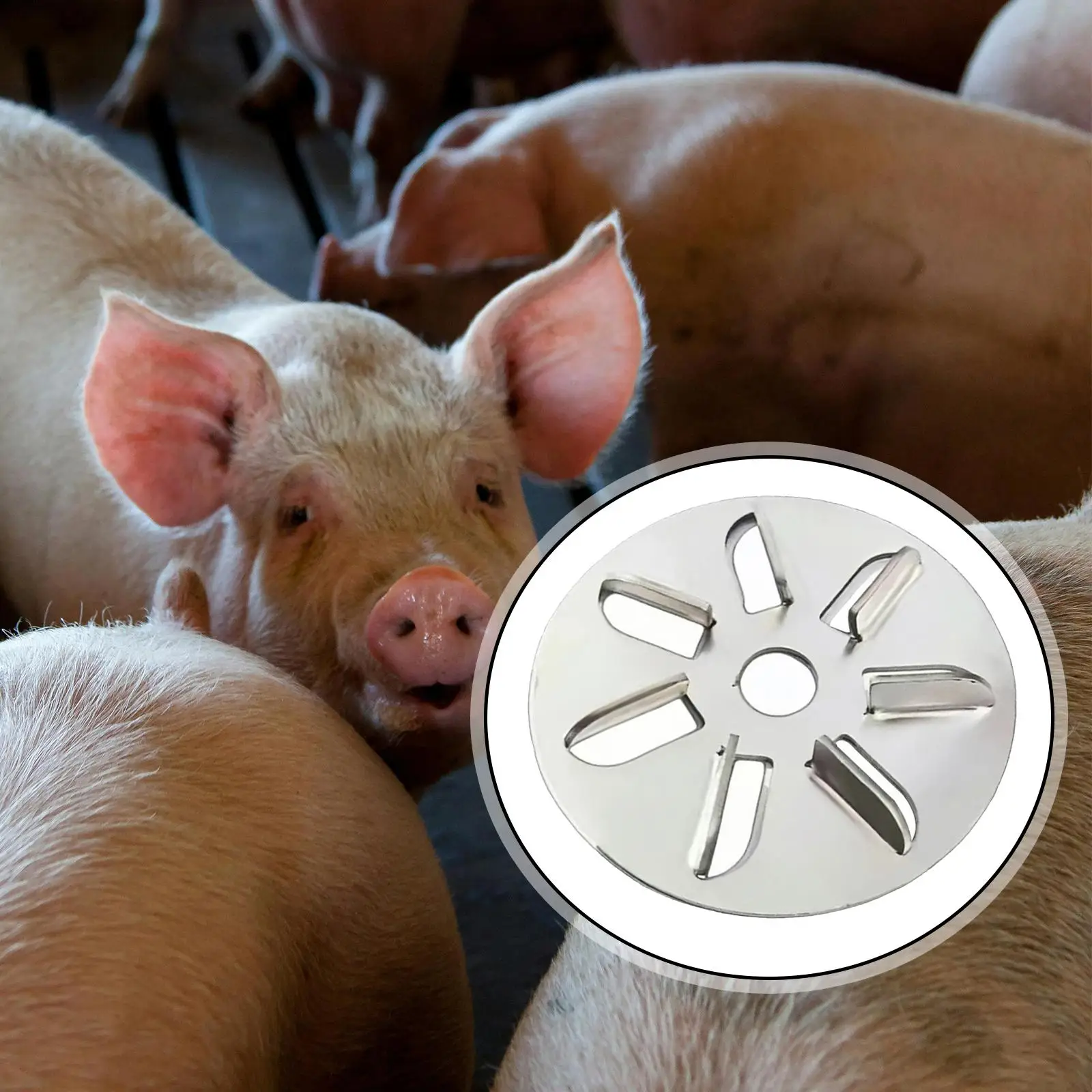 Pig Hair Scraper Steel Shaving Tool Multi Gear Hair Remover Disc for Domestic Animals Livestock Farm