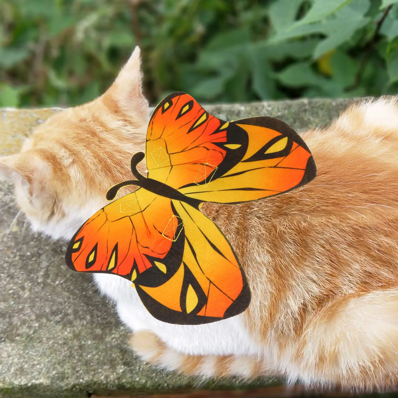 

Halloween Cat Butterfly Shaped Clothes Premium Light Pet Garment Creative Festival Outfit Cat Cosplay Clothes Pet Clothing