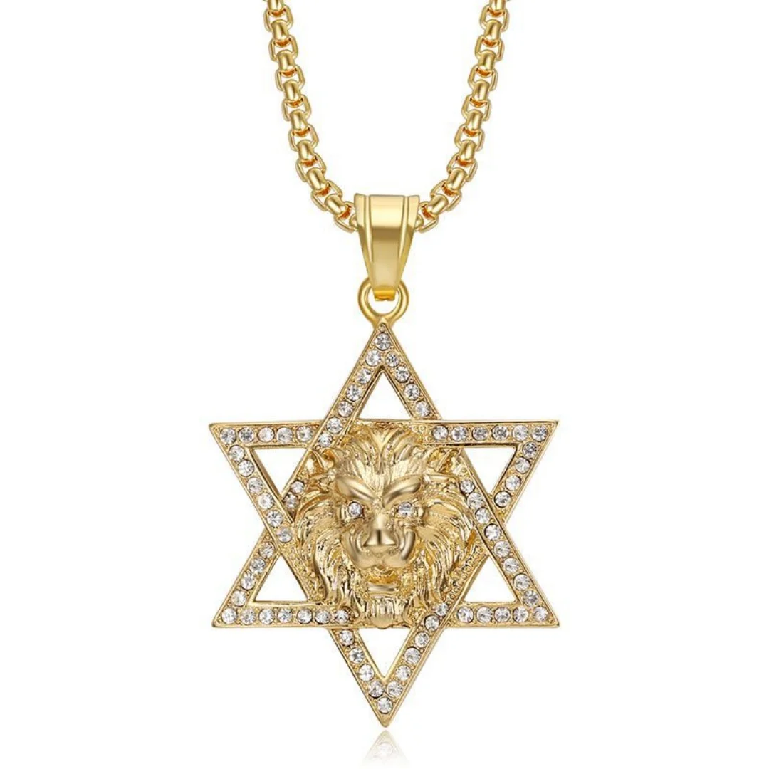 

Punk Iced Out Lion Head Star of David Pendant Gold Silver Color Stainless Steel Zircon Hexagram Necklace for Woman Man Jewelry