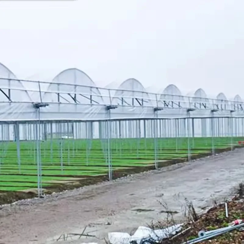 โรงเรือนเกษตรขนาดใหญ่พร้อมแผ่นพีซีสำหรับระบบไฮโดรโปนิกส์แบบหลายช่วง