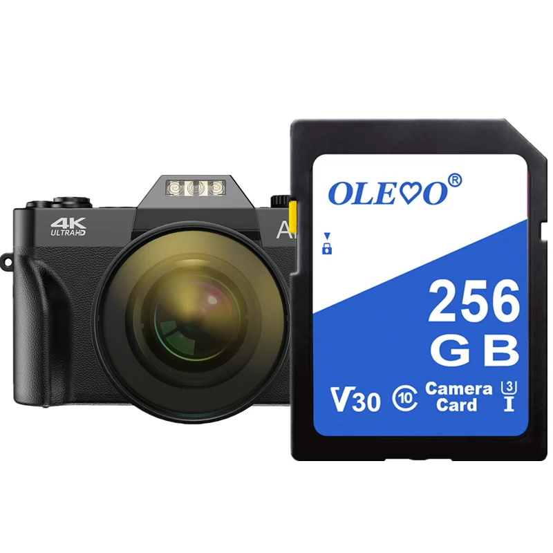 Carte mémoire d'appareil photo 512 go de qualité supérieure 32 go 64 go carte SD 16 go 128 go 256 go classe 10 carte flash d'appareil photo pour appareil photo