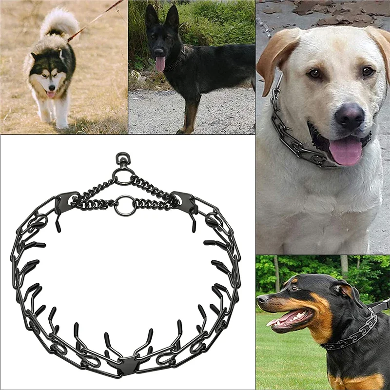 Thumbnail 3 - #36 Best Adjustable Pet Collars to Buy In 2026