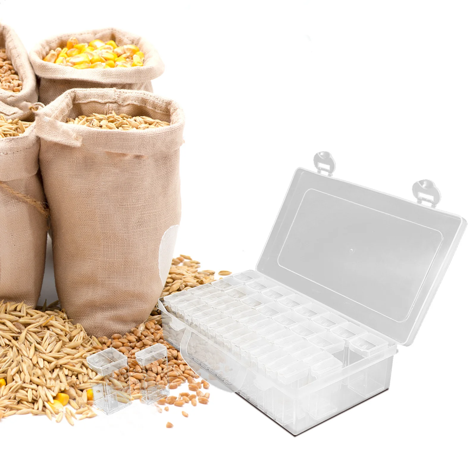 

1Set Seed Storage Box Plastic Divided Small Organizer Efficient Portable Seed Container Garden Seeds Case Divided Seeds Box