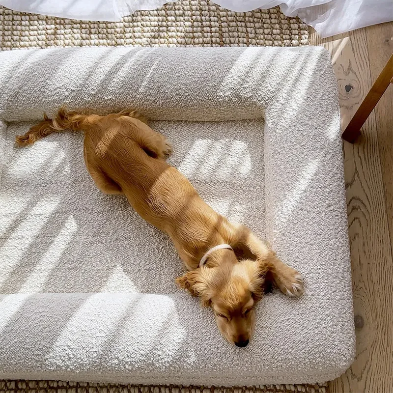 Modern Neutral Linen Boucle Breathable Orthopedic Foam Dog Sofa Bed Waterproof Washable Removable Cover Non Slip Summer Winter