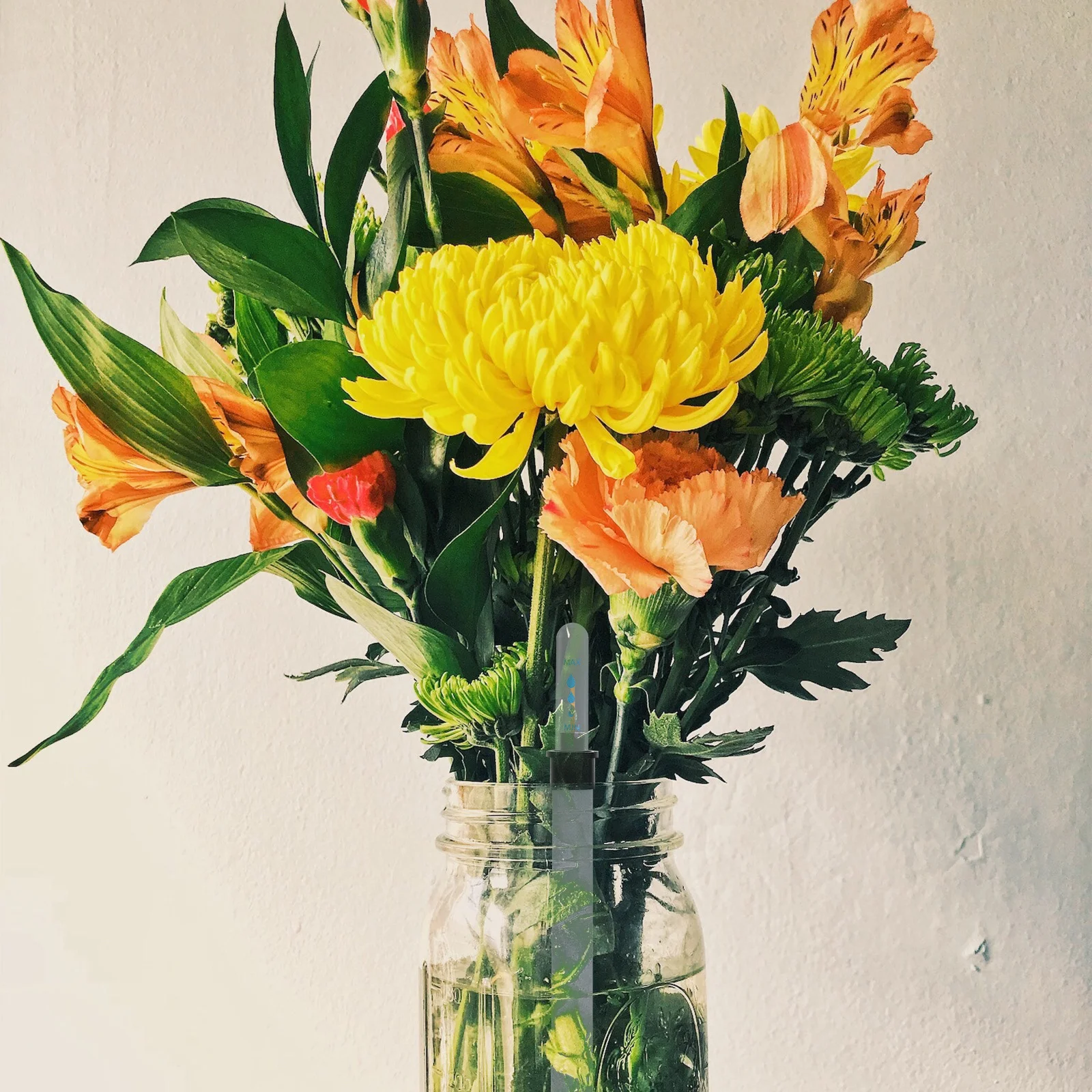 

4pcs Float Type Water Level Gauge Water Shortage Reminder For Flowerpot Grass Basin Planters Visible Scale Indicator Tool