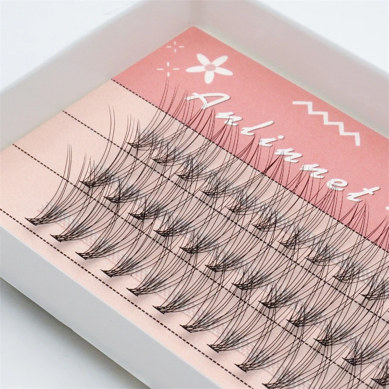 10D Eyelash cluster 1 Box/60 Bunches Mink Eyelashes Natural 3D Russian Individual Eyelash extension Makeup Tool Lashes Wholesale