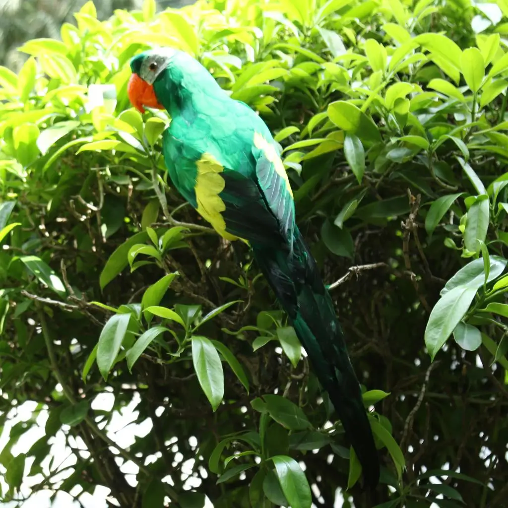 Simulation Parrot Statue Party Favors Photography Props Feathered Birds Statue