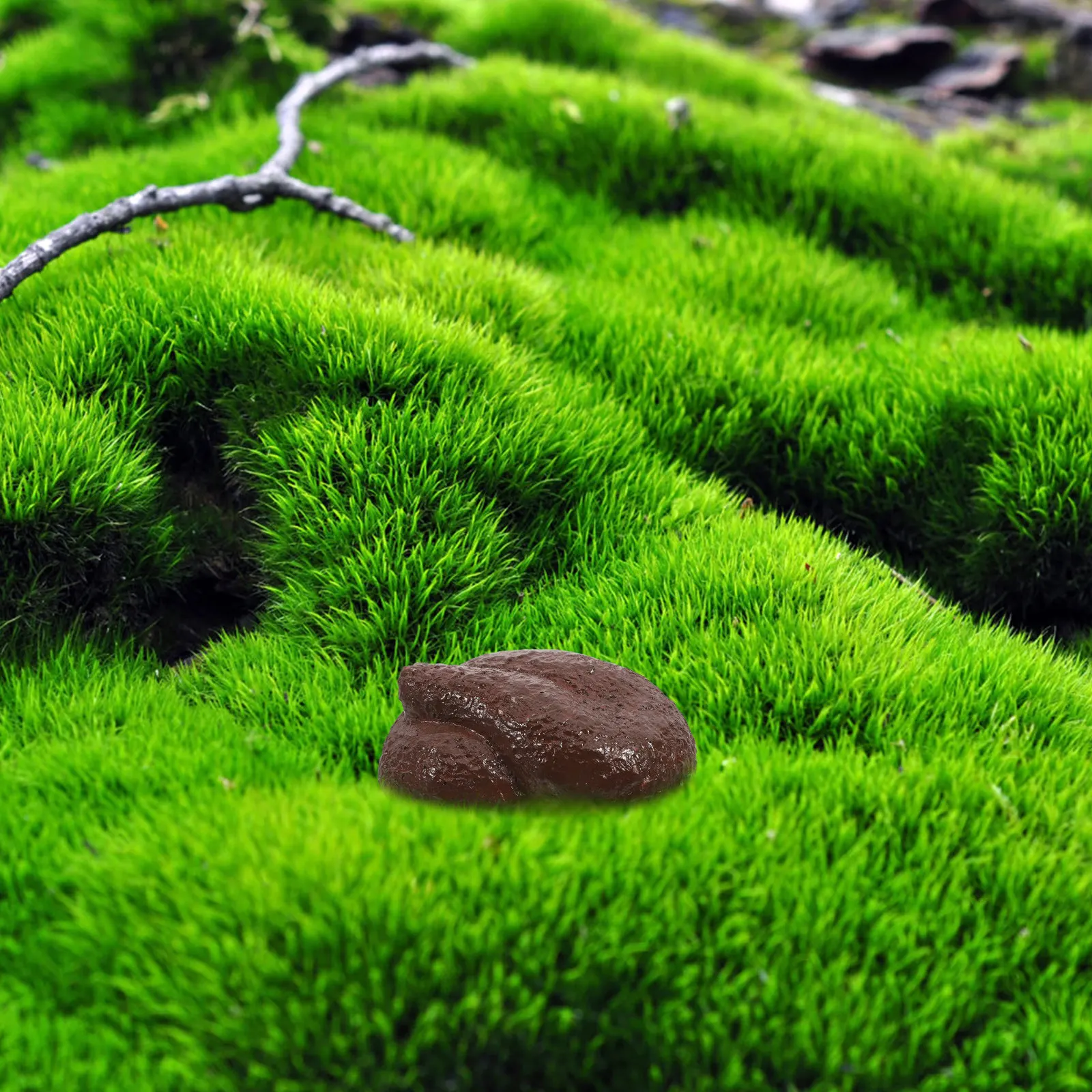 

Poop Key Holder Hidden Key Box Outdoor Waterproof Courtyard Safe Spare Keys Storage Discreet Poop Box Hidden Case