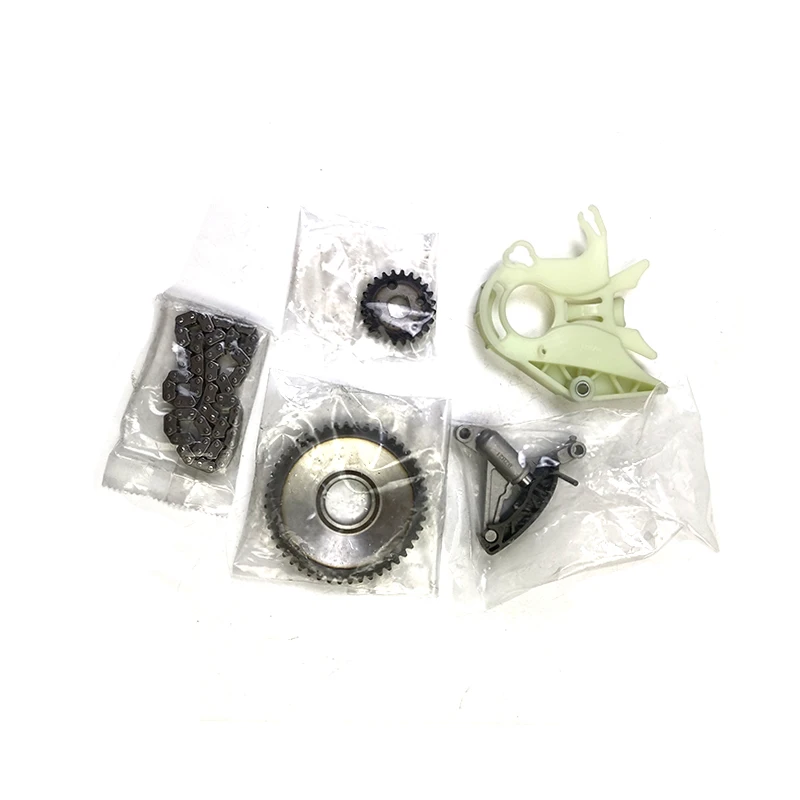 

11417605366 11417605367 Oil Pump Repair Kit For BMW X1 X3 Z4 F35 F30 Engine N20 Oil Pump Timing Drive Chain Kits