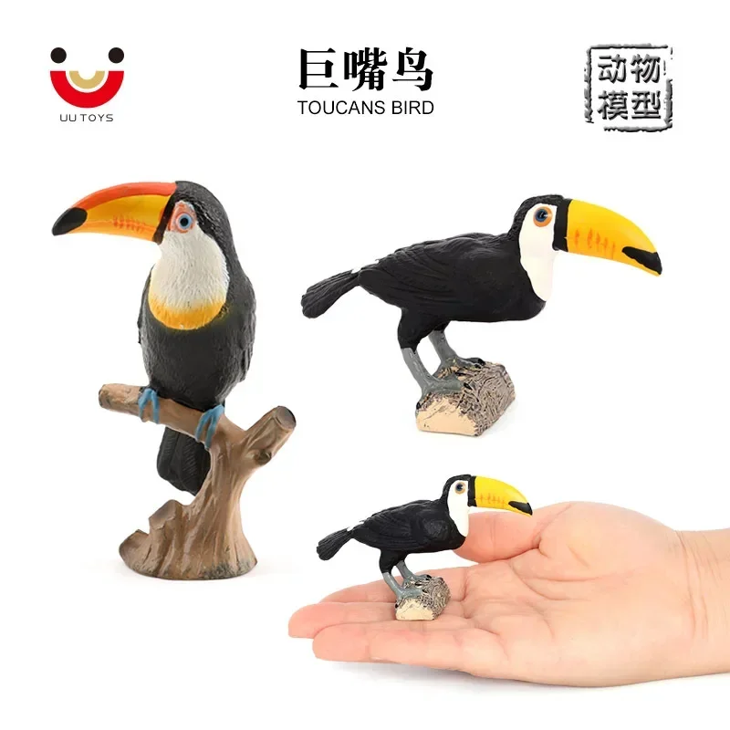 Simulation wild bird animal model solid static toucan children's early education cognition toucan toy ornament