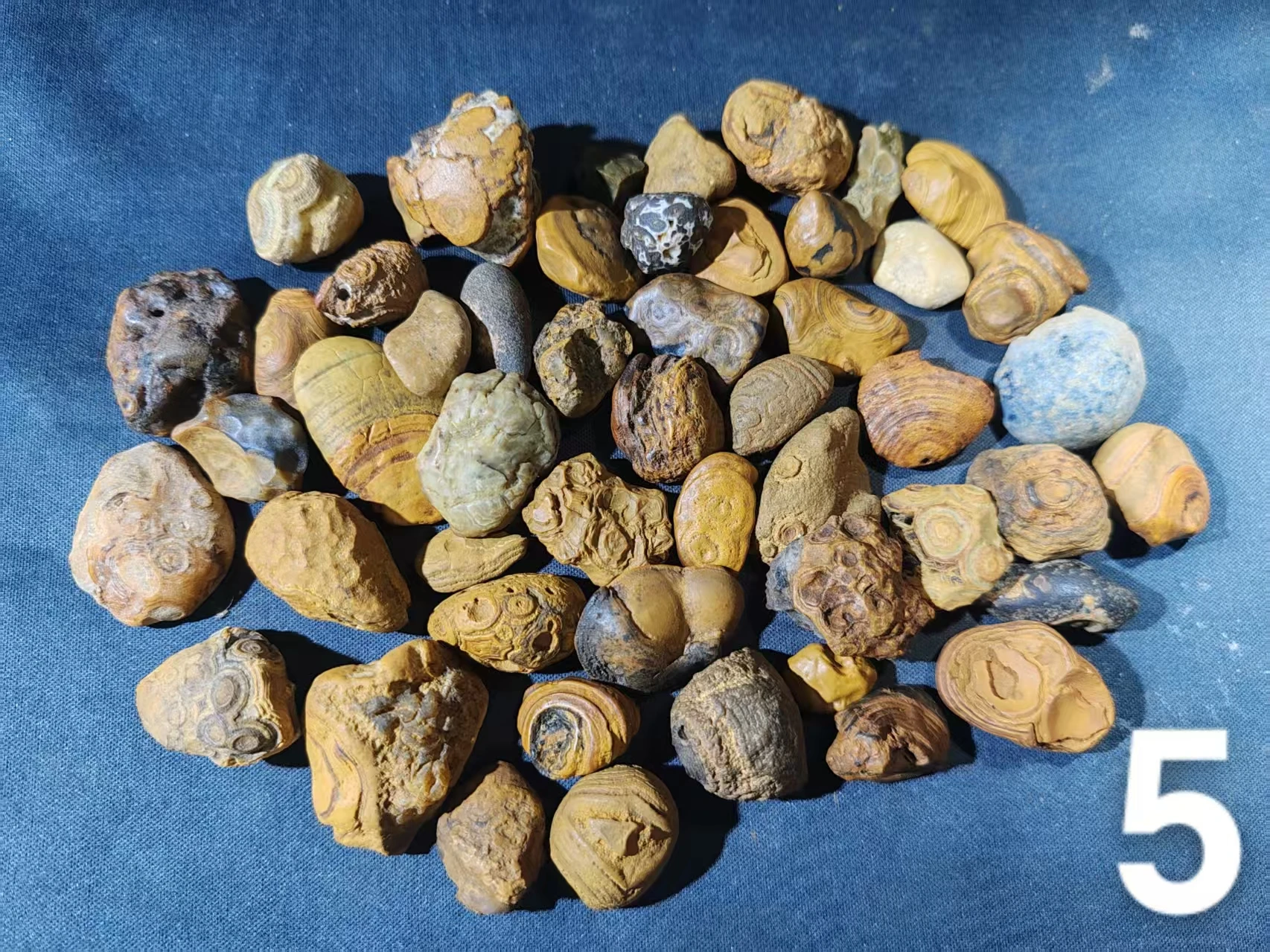 50pcs/lot gtian Bead RaSelected Premium Menw Stone Specimens Beautiful Unique with Eye Patterns Powerful Energy Stones