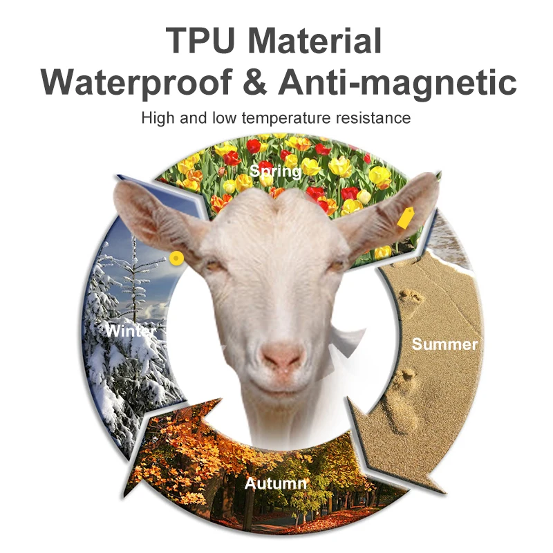 Sample H3 Chip UHF RFID Animal Electronic Ear Tags UHF Sheep Animal 52*18MM Animal Ear Tags