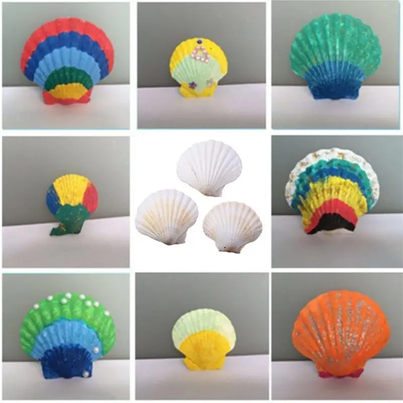 

31BB Practical Natural Scallops Sea Shells Portable Accessory for Craft and Home Decoration Pack of 10 Versatile Use