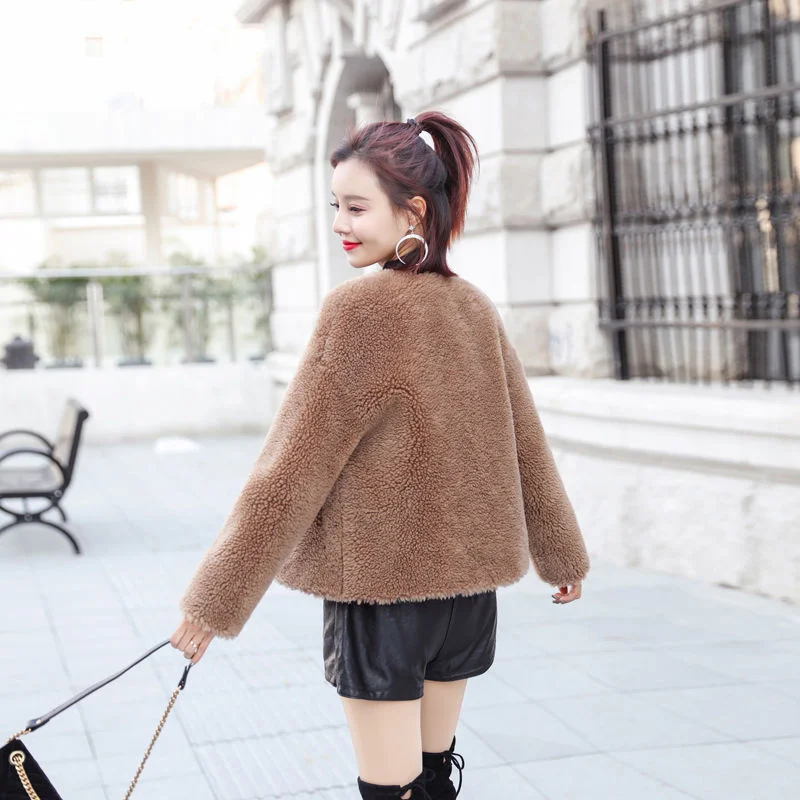 New Spring and Autumn Fur Coat Women, Short Style, Slimming, Internet Red, Same Style, Particle Velvet, Imitation Fur, Lamb Hair