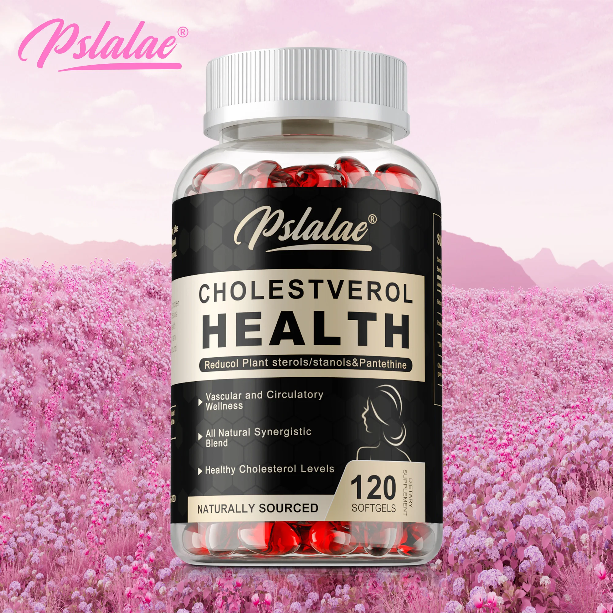 

Здоровье холестерина — антиоксидант, поддерживает уровни холестерина, способствует сосудистым, сердцем и сельской местности, энергетический метаболизм.