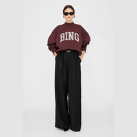 New North American niche AB classic letter BING printed fleece high neck loose women's hoodie