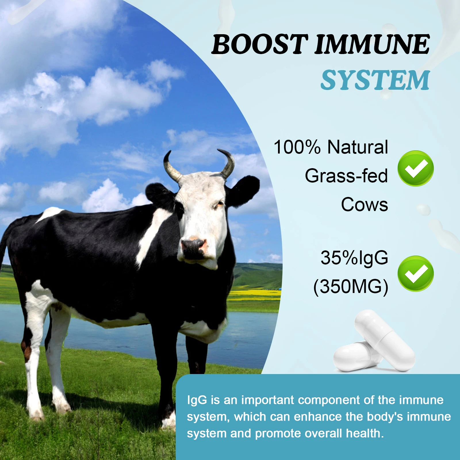 BBEEAAUU Colostrum Capsules 35% lgG Immunoglobulins Improve Immunity Gut Health Improve Focus Improve Energy & Recovery