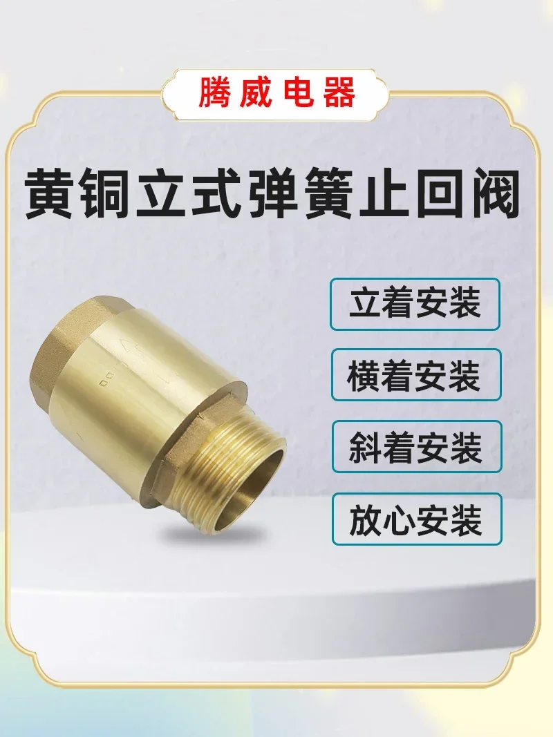 One-way check valve 1 inch copper valve Automatic brass Thickened vertical spring valve External internal wire thread