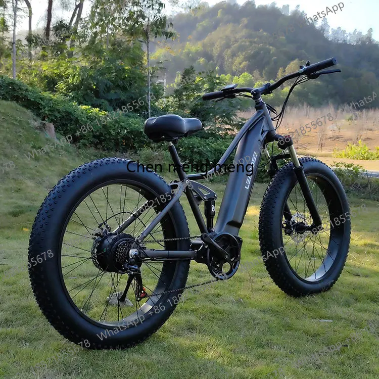 

China Factory Mid Drive Electric Bike for Sale Bicicleta Electrica E Bike Ebike Electric Bicycle