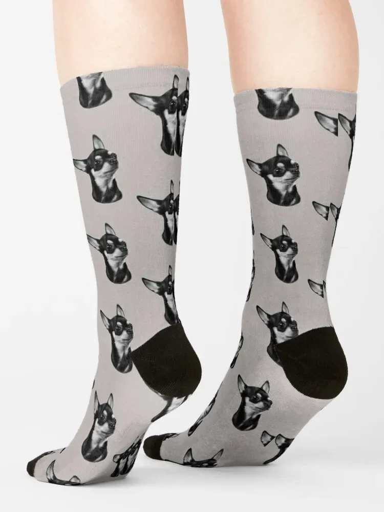 Calcetines con estampado de Chihuahua para hombre y mujer, medias estampadas de estilo hip hop, novedad