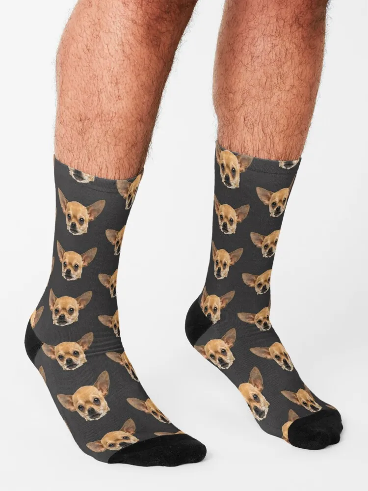 The Chihuaha Head Socks Cotton Socks Men