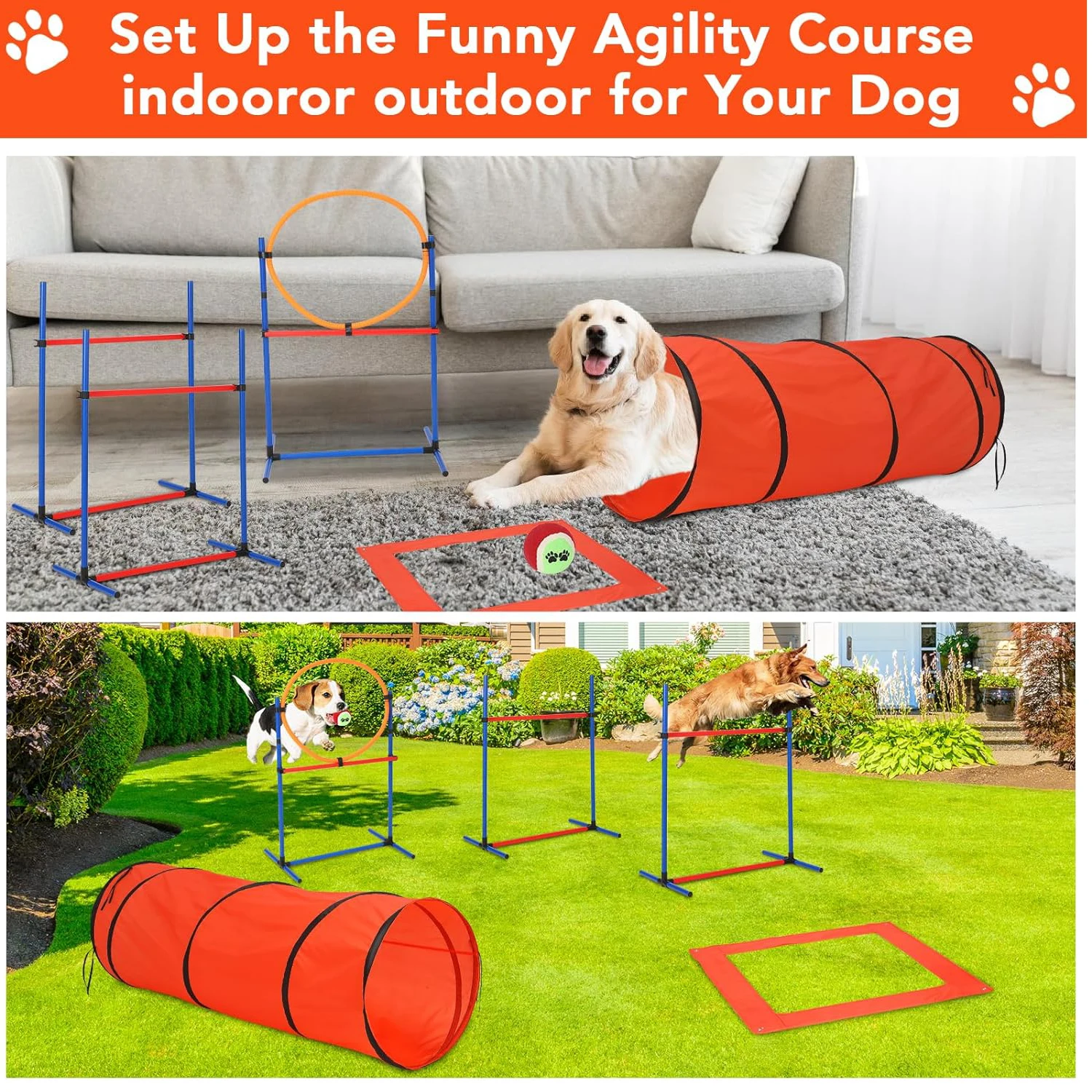 Dog Agility Kit 3