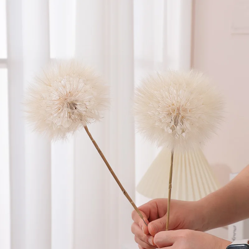 Preserved Dandelion DIY Epoxy Resin Craft Kit, Forever Dried Flower for Resin Molds, Decor & Photo Props - view 2