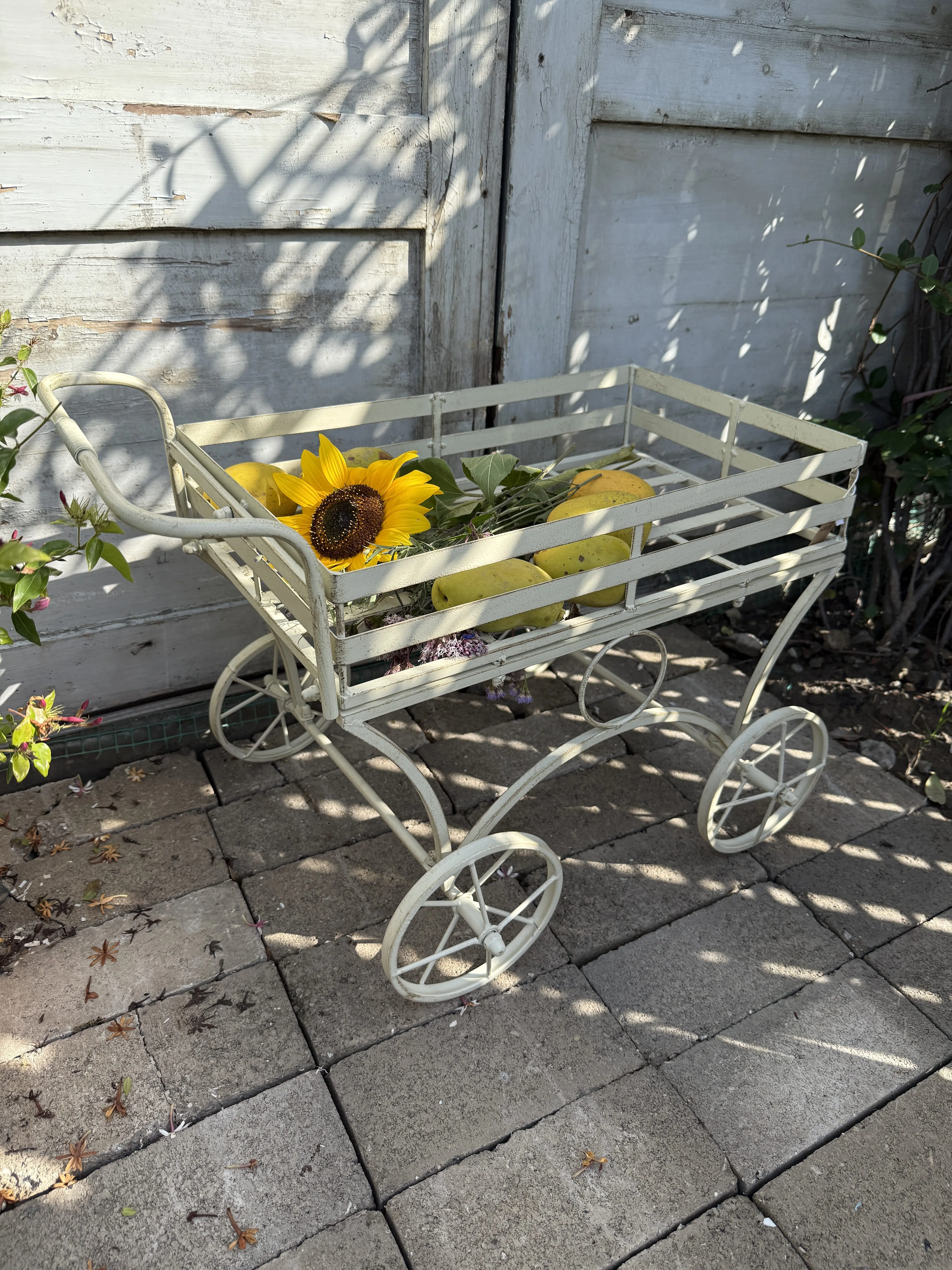 Garden grocery orders can be smoothly pushed and pulled, float cart, tool plant planting